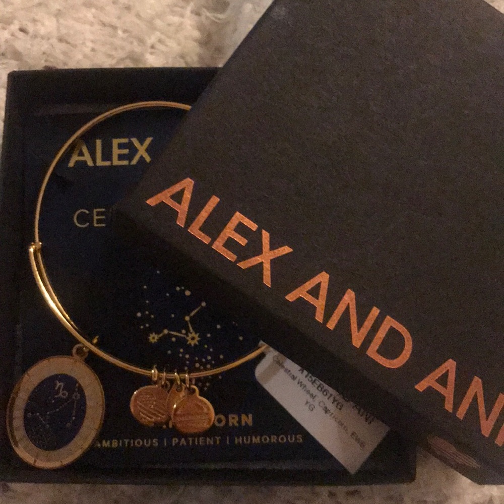 2 IN 1 ALEX AND ANI